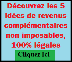 Découvrez ces 5 idées de revenus complémentaires non imposables, 100% légales