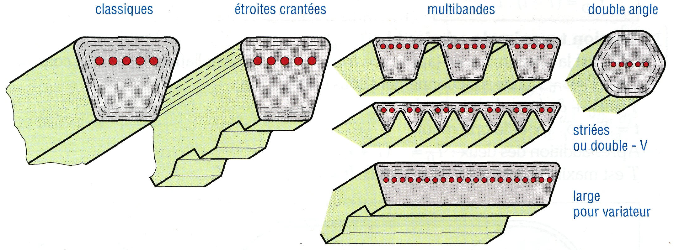 Transmissions par poulies et courroies - Sciences et Technologies